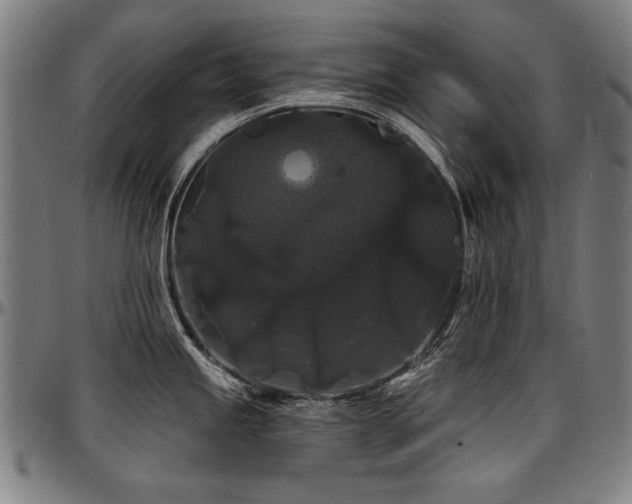X0000097631245200802291332