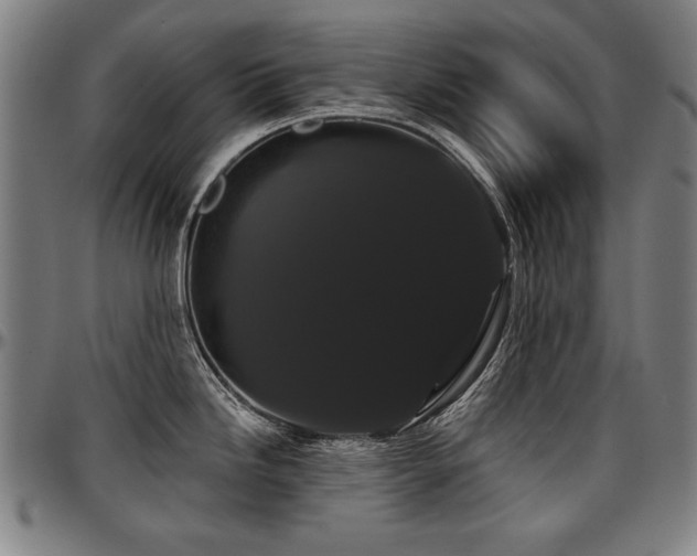 X0000097631246200802291333
