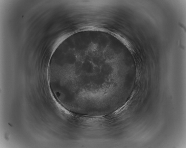 X0000097631247200802291333