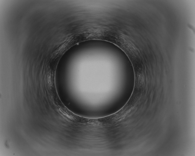 X0000097631250200802291332