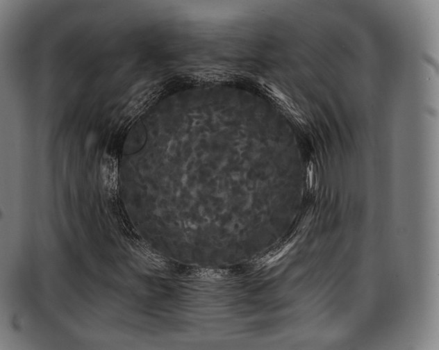 X0000097631251200802291332