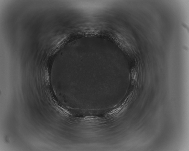 X0000097631252200802291332