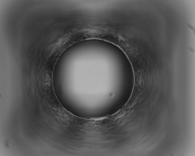 X0000097631253200802291332