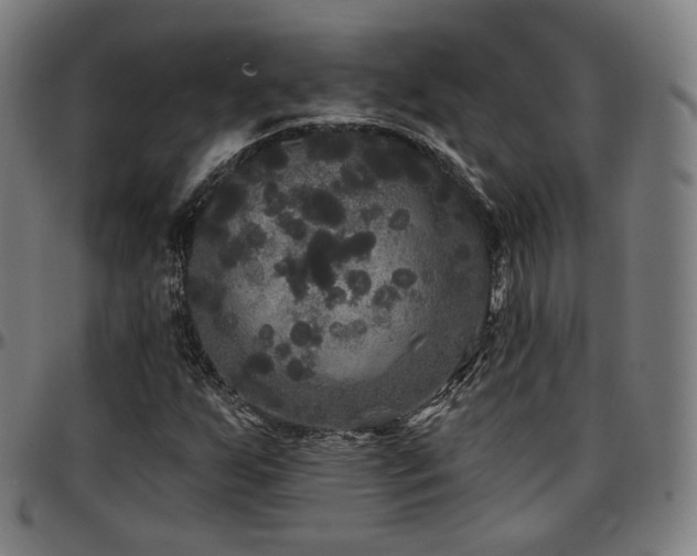 X0000097631255200802291332