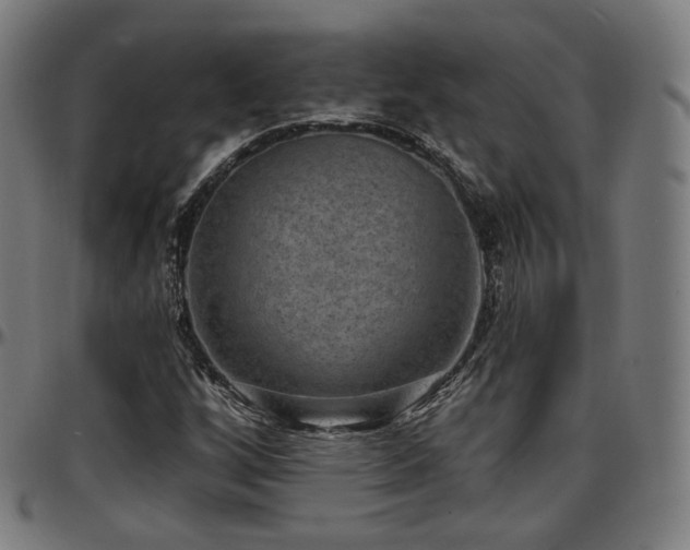X0000097631256200802291332