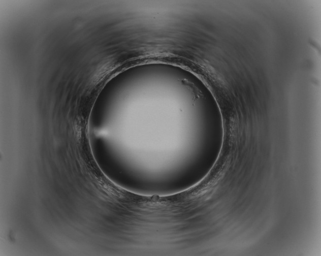 X0000097631257200802291332