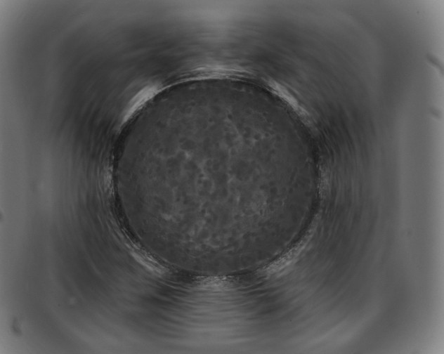 X0000097631259200802291332