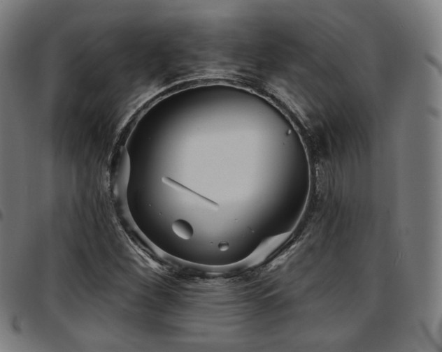 X0000097631260200802291332