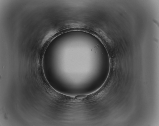 X0000097631261200802291332