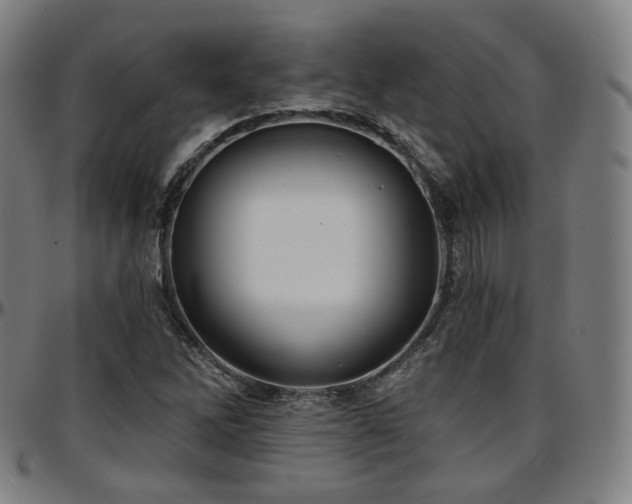 X0000097631262200802291332