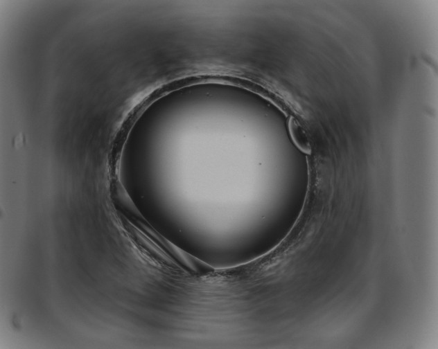 X0000097631264200802291332