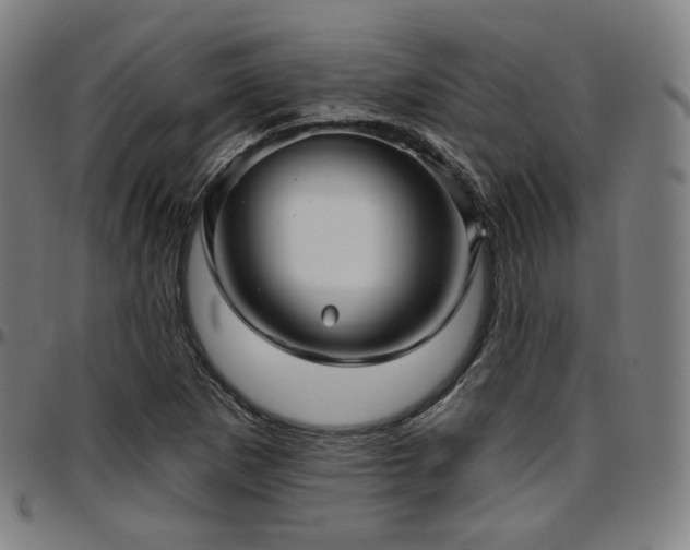 X0000097631265200802291331