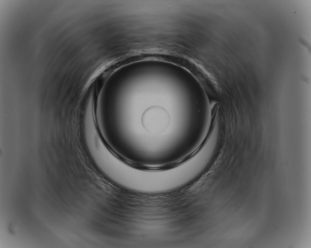 X0000097631266200802291331