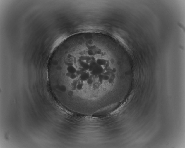 X0000097631267200802291331