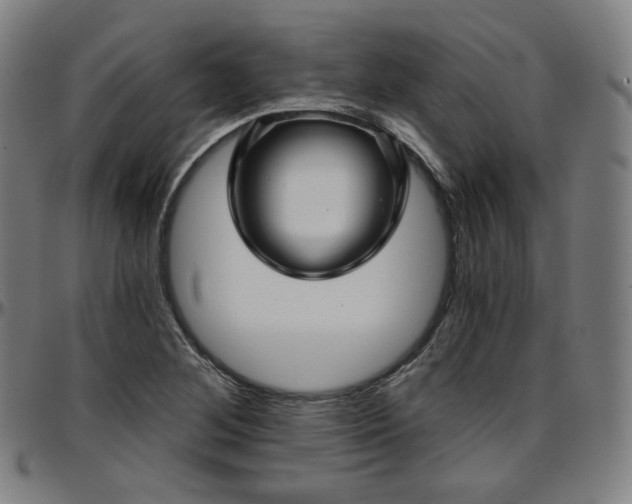 X0000097631268200802291331