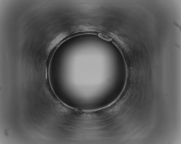 X0000097631269200802291331