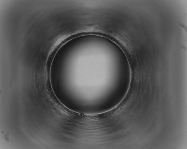 X0000097631270200802291331