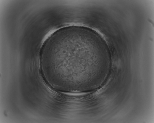 X0000097631271200802291331