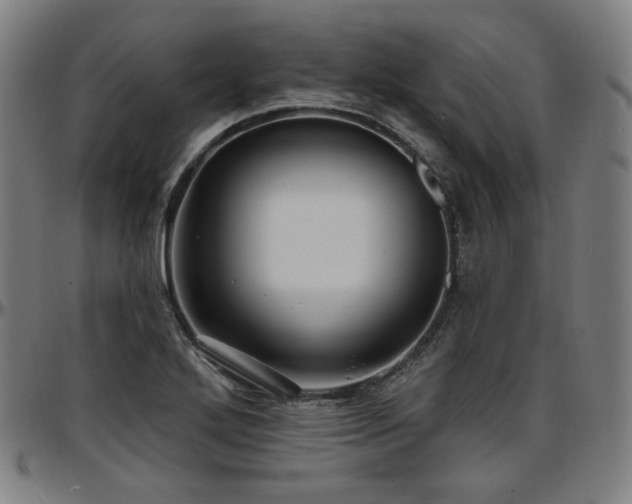 X0000097631272200802291331