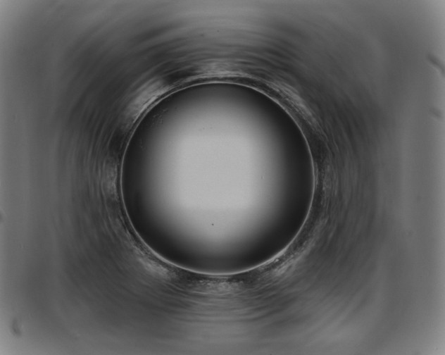 X0000097631273200802291331