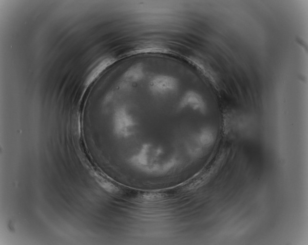 X0000097631274200802291331