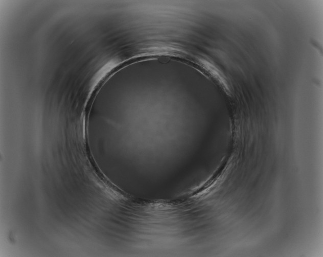 X0000097631275200802291331