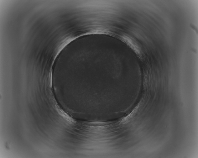 X0000097631276200802291331