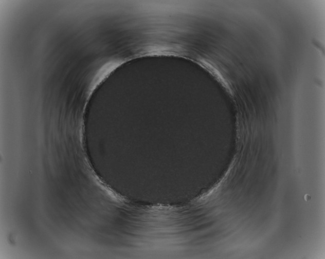 X0000097631277200802291331