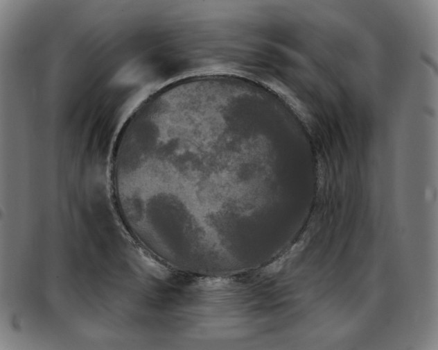 X0000097631278200802291331