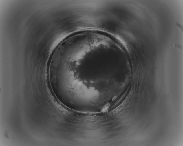 X0000097631279200802291331