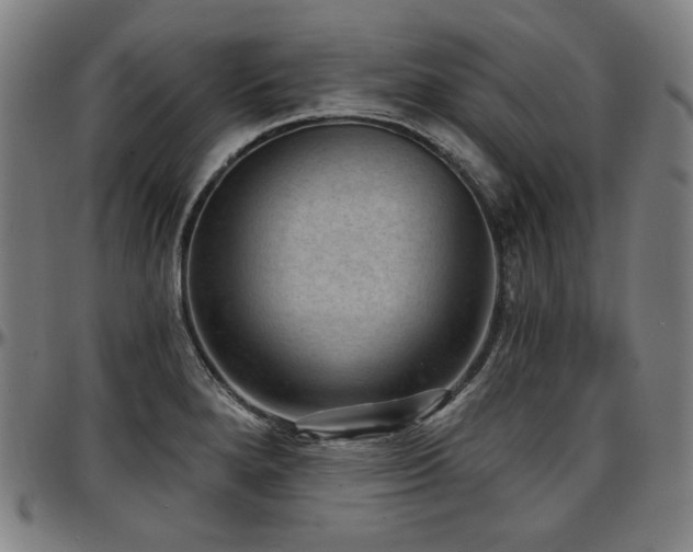 X0000097631280200802291331