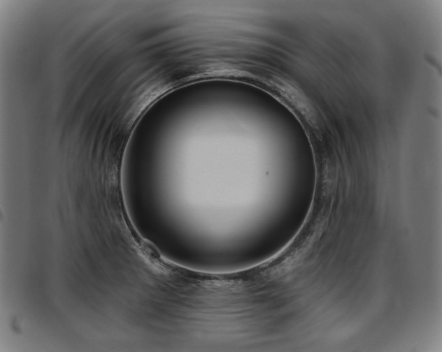X0000097631281200802291331