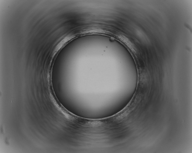 X0000097631282200802291331