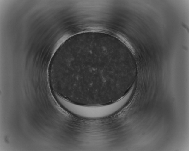 X0000097631283200802291331