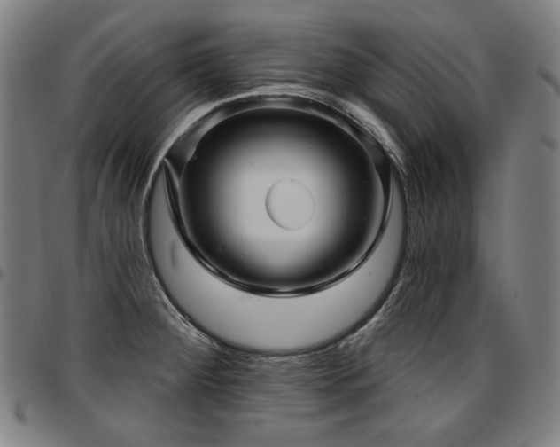 X0000097631284200802291331