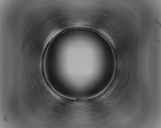 X0000097631285200802291331