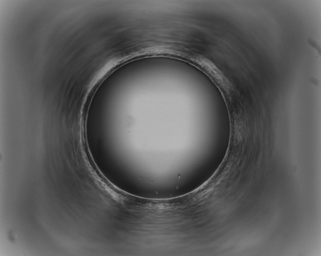 X0000097631286200802291331