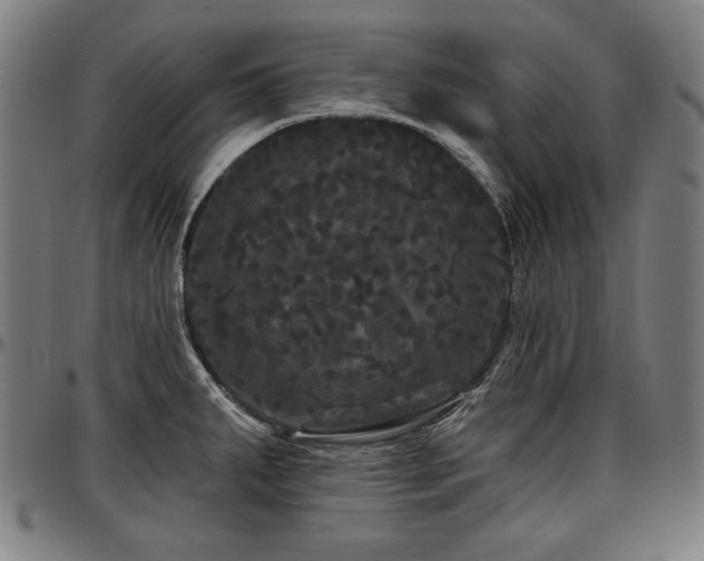 X0000097631287200802291331