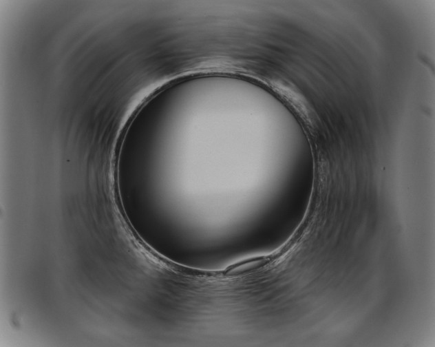 X0000097631288200802291331