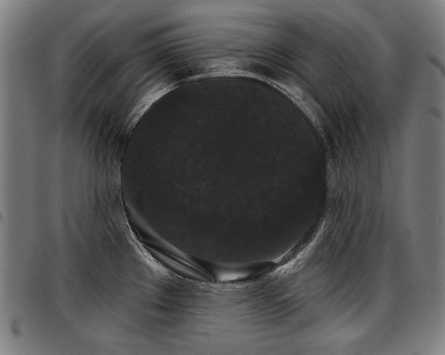 X0000097631289200802291331