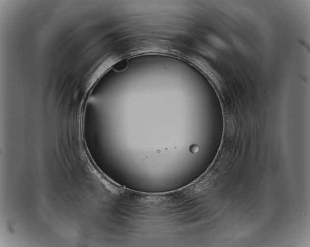 X0000097631290200802291331