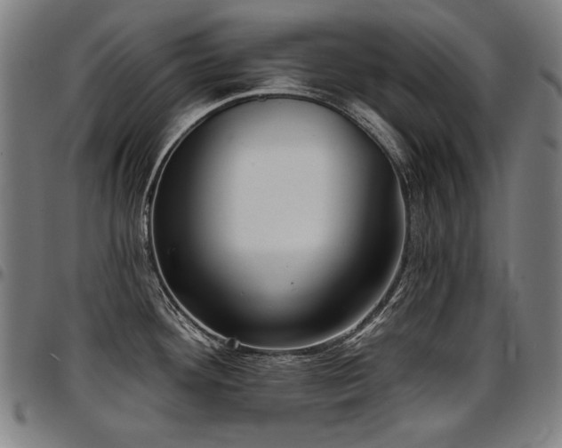 X0000097631292200802291331