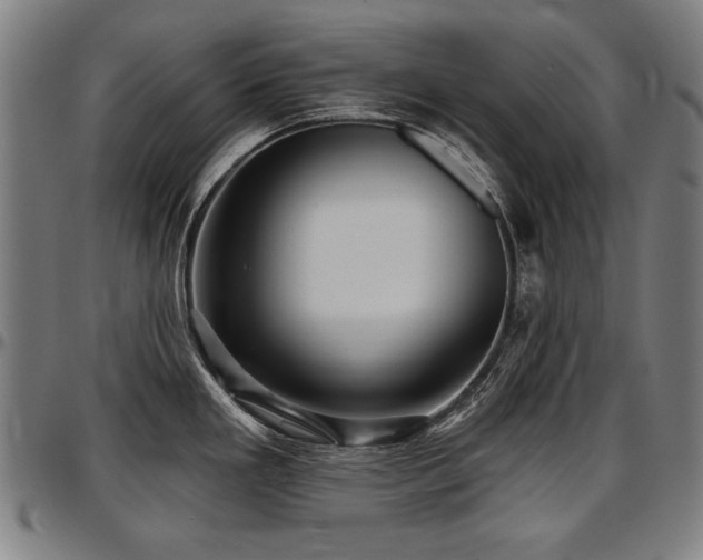 X0000097631293200802291331