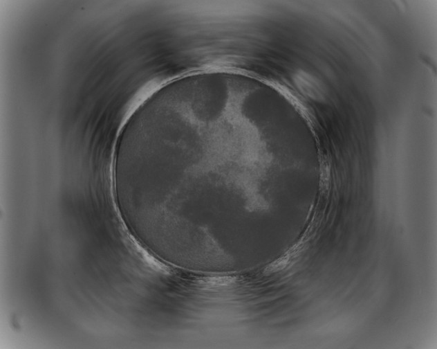 X0000097631294200802291331