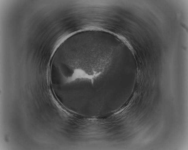 X0000097631295200802291331