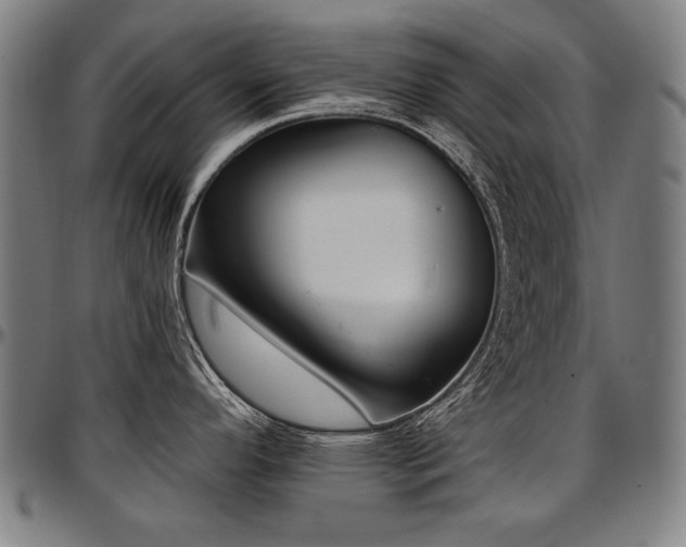 X0000097631296200802291331