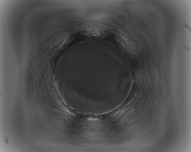 X0000097631297200802291330