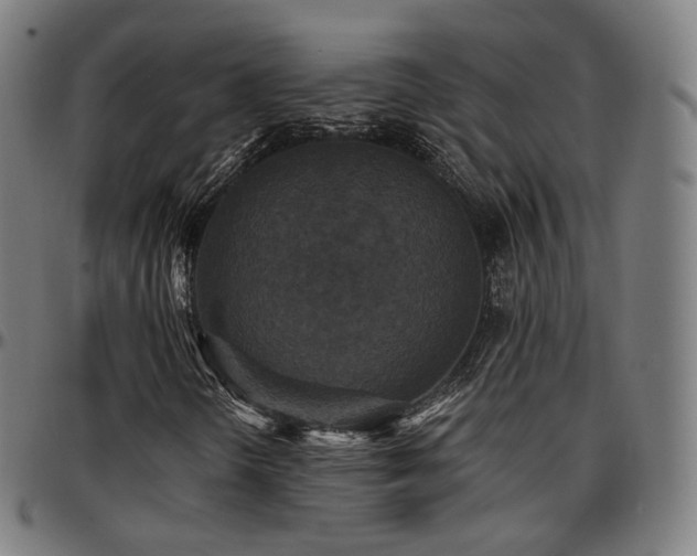 X0000097631298200802291330