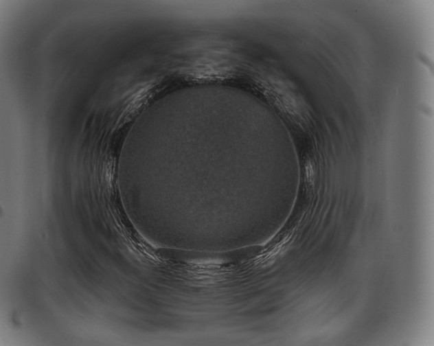 X0000097631300200802291330