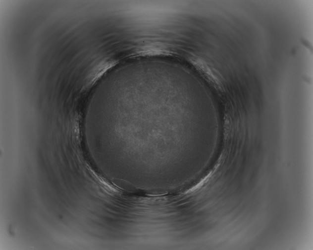 X0000097631305200802291330